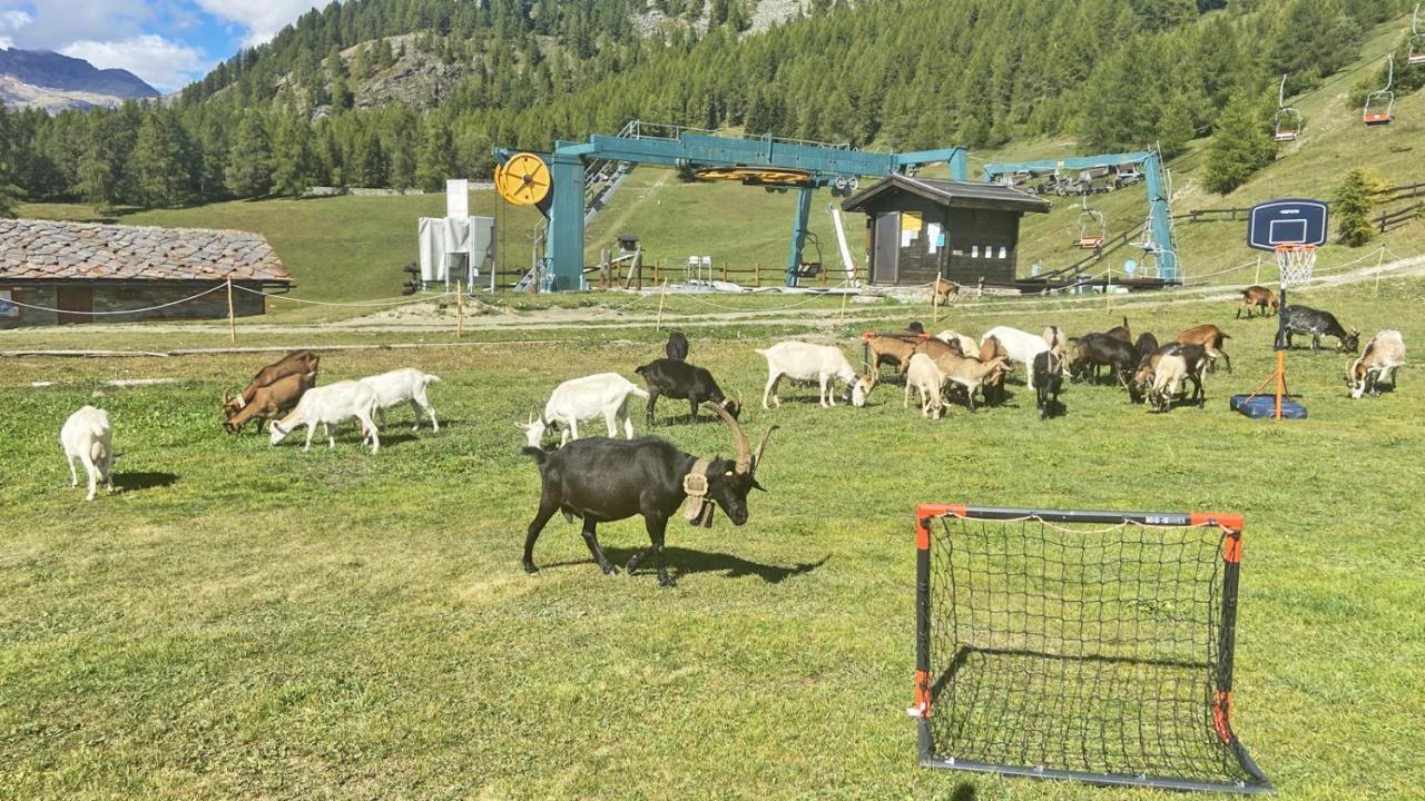 Locanda Ristorante Bar Del Lago Chamois Exterior photo